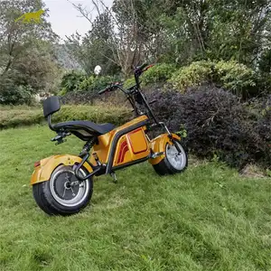 Professional Manufacturer Popular Design 12 Inch 2000W Electric Motorcycle Scooter European Warehouse Citycoco