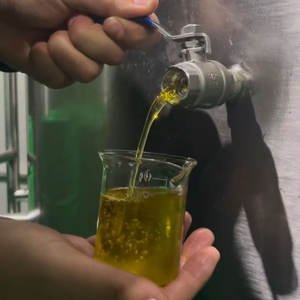 Olio d'Oliva Extra Vergine Puro di Alta Qualità Biologico Non Raffinato per Cucina e Condimenti Insalata con Logo Personalizzato - Product Image 3