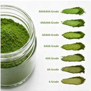 Matcha Orgánico Premium al por Mayor de Fábrica, Marca Privada, Té Verde Puro 100% Natural, Matcha en Polvo de Grado Ceremonial - Product Image 3
