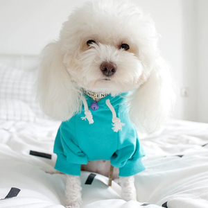 Venda Quente: Conjunto de Moletom para Cães e Donos em Algodão 100% Sólido com Forro de Fleece, Confortável, Quente e Respirável - Product Image 6