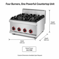 Cuisinière à gaz commerciale pour équipement de restauration, en acier inoxydable, pour pot en terre cuite, puissance 14,2 kW, cuisine cantonaise