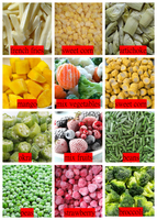 Congélateur à lit fluidisé industriel à grande capacité IQF, traitement continu pour les aliments granulaires fins, les fruits, les haricots, les fruits de mer