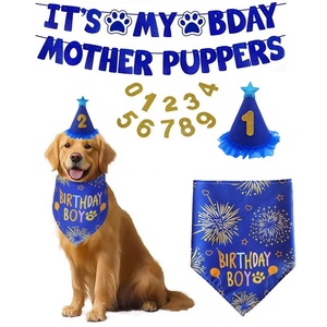 Ensemble d'accessoires de fête d'anniversaire pour animaux de compagnie : Foulard triangulaire et chapeau en tissu non tissé de luxe, personnalisables pour chien, pour une célébration festive. - Product Image 6