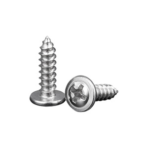 Tornillo Autorroscante Tongrui de Acero Inoxidable Niquelado con Cabeza Phillips Redonda y Cola Puntiaguda - Product Image 1