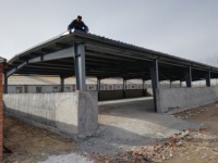 Ferme moderne en acier et métal de couleur verte Garantie de la Chine pour la durée de vie de la construction d'un hangar d'élevage de bovins, de poulets et de moutons
