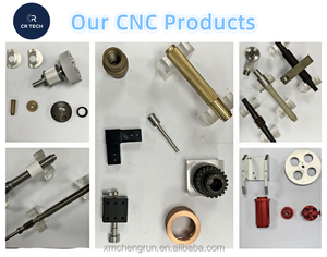 Ingranaggi a Vite Senza Fine in Acciaio Inox su Misura, Annerimento Chimico, Certificati ISO, Lavorati a CNC Tramite Servizi di Azionamento di Precisione - Product Image 3