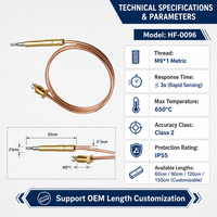 Sonde thermocouple universelle de 600 mm pour barbecue, foyer, chauffage - Laiton