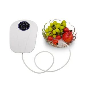 Purificateur d'air pour pièces multiples Laveuse de légumes et de fruits portable Purificateur d'eau domestique à l'ozone