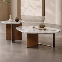 Table basse minimaliste en pierre microcristalline, style luxe léger, plateau en forme de roche, pieds en acier inoxydable, pour salon