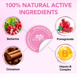 SOLOTREE 핫 세일 천연 비건 빠른 흡수 체중 감소 계피와 여성 남성을위한 베르베린 패치 - Product Image 2