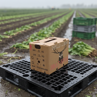 Boîte d'emballage industrielle pour la chaîne du froid, capacité 1 1/9 bushel, en carton ciré, pour légumes