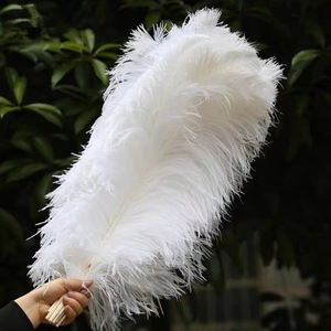 Plumas de Avestruz Auténticas Teñidas al por Mayor de Sudáfrica, Plumas Grandes y Esponjosas, Plumas de Avestruz Esponjosas - Product Image 1