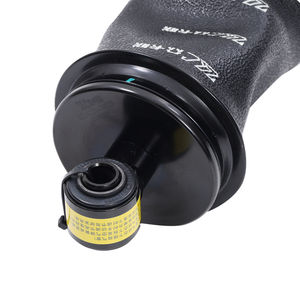 โช้คอัพหน้าและหลังของถุงลมนิรภัยในรถบรรทุก X5000 คือ DZ14251430025 และโช้คอัพมีการขยายขนาดและหนาขึ้น - Product Image 1