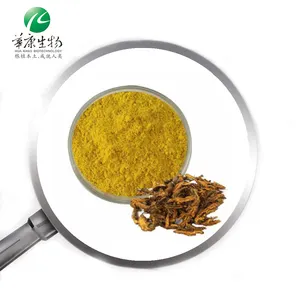 Cung cấp lớp mỹ phẩm 5%-97% berberine Rhizoma coptidis coptidis chiết xuất từ rễ