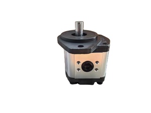 Componente de equipo de ingeniería SNP3NN/026LN07GA 111.25.047.0A bomba de engranajes - Product Image 3