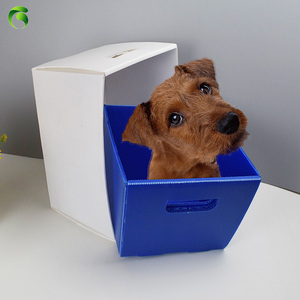 Caja Transportadora de Mascotas Portátil de PP, Plegable, Aprobada por Aerolíneas, para Viajes, para Perros y Gatos - Product Image 5