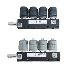 Kit Koil 4 Silinder Rail Injektor Bensin ke Gas LPG/CNG Abu-abu <span class=keywords><strong>2</strong></span> Ohm untuk Mesin Mobil - Product Image 5