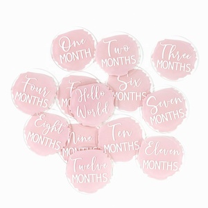 Acrylic Baby Milestones Disc Baby Monthly Milestone Cards Baby Monthly Photo Prop Baby Monthly Milestone Markers - Product Image 5