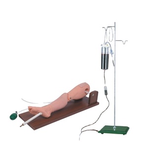 แบบจำลองการเจาะไขกระดูกขั้นสูง การเจาะหลอดเลือดแดงที่กระดูกต้นขา สำหรับการฝึกอบรมพยาบาลในโรงเรียนสอนพยาบาล - Product Image 1