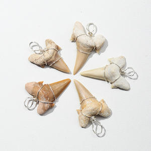 Dents fossilisées fil d'argent enveloppé fossiles dents collier pendentifs vrais fossiles préhistoriques accessoires de bijoux aléatoires - Product Image 1