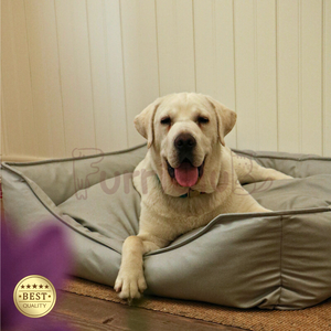 Ortho pä disches wasserdichtes Hunde bett mit abnehmbarem wasch barem Kissen für große, mittlere und kleine Hunde - Product Image 3