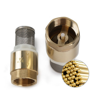 Válvula de retención de latón de 3/4 pulgadas con filtro de acero inoxidable para control del flujo de agua - Product Image 1