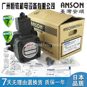 Pompe à palettes à cylindrée variable Anson PvF-20-70-10S, pompe de surpression hydraulique horizontale monophasée - Product Image 1