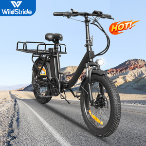 Bicicleta Eléctrica Plegable de 20 Pulgadas con Llantas Gruesas, 500W, 48V, Frenos de Disco, para Reparto de Comida, Modelo EB10, con Motor sin Escobillas de 500W - Product Image 3