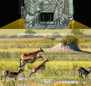 Wifi Caméra de piste de la faune Vision nocturne Caméra piège pour animaux 4K IR Caméra de chasse avec objectif grand angle IP67 étanche - Product Image 4