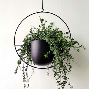 Jardinière suspendue en métal noir avec cadre rond, support moderne pour plantes d'intérieur et d'extérieur - Product Image 1