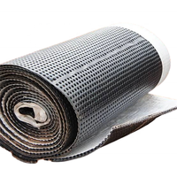 Géocomposite Feuille de drainage en plastique alvéolée de couleur noire Géocomposite (Géotextile + HDPE Feuille de drainage + Géotextile)