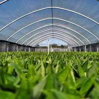 MYXL Serre Tunnel Monochapelle Agricole à Vendre