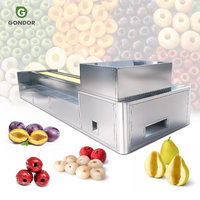 Hete Aanbieding Verse Kersen Fruitpit Pruimenpit Zaadseparator Multi-Core Ontpitter Gereedschap Ontpitmachine