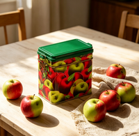 Boîte en fer blanc rectangulaire JH transparente et brillante avec couvercle à charnière pour le stockage du café, du thé, des fruits secs, du pain et de la gelée – Promotion Cadeau