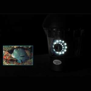 Caméra de pêche sous-marine avec moniteur 7 pouces, profondeur de 20 mètres, caméra rotative à 360° pour la pêche sur glace/mer/rivière - Product Image 5