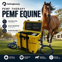 Appareil PEMF équin avec boucle magnétique pour la thérapie équine, les cliniques vétérinaires, les écuries, les centres d'entraînement et les professionnels équins