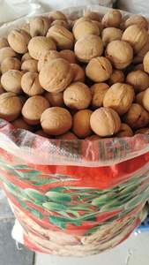 쉘 페이퍼 호두 점보 크기 호두에있는 호두 - Product Image 3