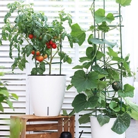 Pot Plastik Putih Ekstra Besar dengan Sistem Penyiraman Otomatis untuk Menanam Sayuran dan Buah dengan Jendela Visual