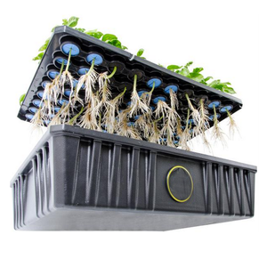 Thủy Canh Nhân Bản Cổ Áo Nhà Máy Bọt - Product Image 4