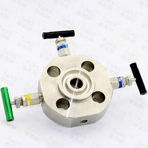 Válvulas de Compuerta de Doble Aislamiento con Brida de Acero Inoxidable Suministradas por el Fabricante, Válvulas de Cierre de Doble Aislamiento con Brida Simple - Product Image 4