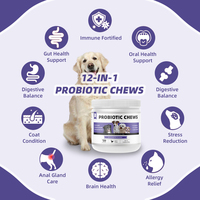 Suppléments de santé quotidiens et comprimés à croquer pour chats et chiens 12 types de probiotiques pour protéger la santé des animaux de compagnie