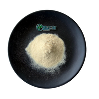 Poudre de lécithine de tournesol de haute pureté, poudre de graines de tournesol saine, émulsifiant alimentaire multifonctionnel, stock important
