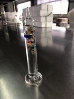 Thermomètre Galileo en verre écologique à motif d'ours de 18 cm de hauteur pour la prévision météo