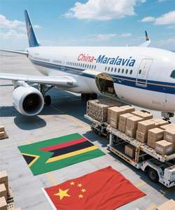 Malawi Air Express из Китая в Lilongwe 7-10 дней прямой специалист по медицинским расходам и сельскохозяйственному оборудованию - Product Image 5