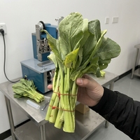 Machine automatique de cerclage à cordon élastique |   Machine à lier les fleurs portable haute vitesse |   Équipement de nouage pour bouquets de légumes