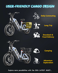 Vélo électrique tout-terrain avec moteur puissant de 250 W, batterie longue portée de 52 V, écran LCD et design étanche - Product Image 6