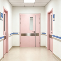 Porte Moderne Ignifugée en Acier Inoxydable GMP, Antibactérienne, pour Salle Blanche, Porte Médicale pour Hôpital et Atelier Pharmaceutique