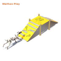 Équipement de terrain de jeu pour chiens au design tendance, pour usage intérieur/extérieur, formation des animaux de compagnie, construction en plastique et métal