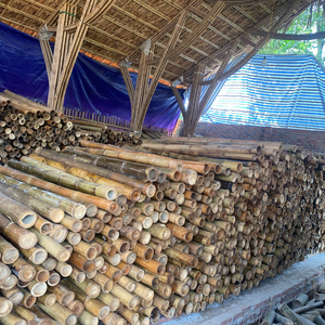 Demi-tube en bambou fait main pour systèmes agricoles hydroponiques - Product Image 6