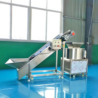 Automatische aardappel- en taro-schilmachine van 304SS staal, 99% schilpercentage voor aardappel, taro en zoete aardappel